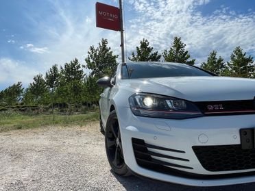 Volkswagen Golf GTI Golf GTI Performance 2.0 TSI 5p. BlueMotion Technology
