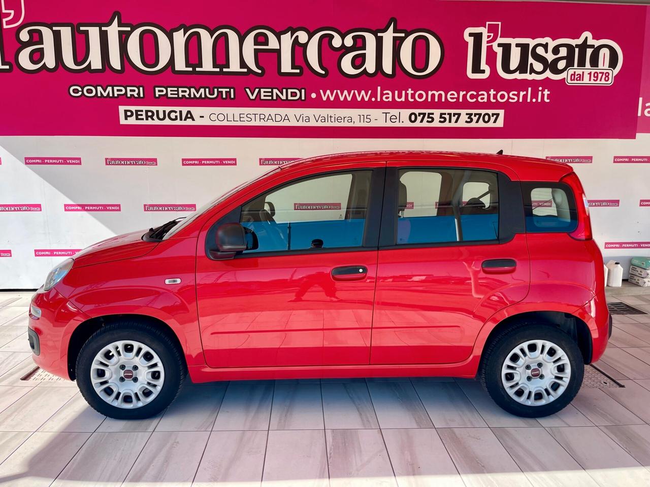 FIAT Panda 3ª serie Panda 1.2 Easy