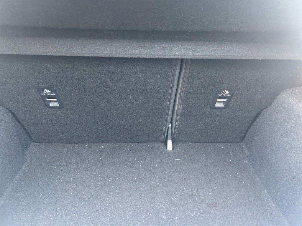 FORD Fiesta Active 1.0 ecoboost h s&s 125cv my20.75 del 2020