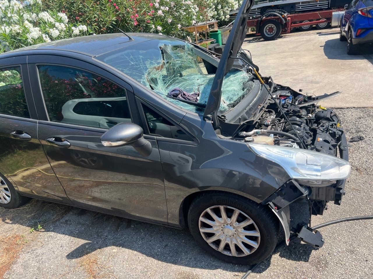 Ford B-Max 1.4 90 CV GPL Plus