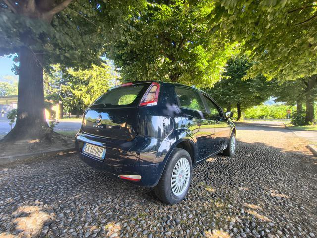 FIAT Punto 1.4 8V 5 porte Natural Power