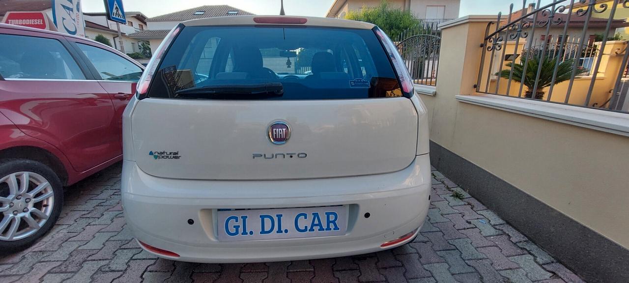 PUNTO 1,4 FIRE NATURAL POWER METANO DI SERIE FIAT LEGA CRUISE SENSORI IMPECCABILE