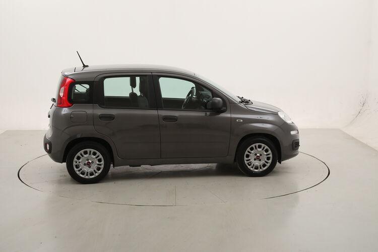 Fiat Panda Hybrid BR437073 1.0 Mild Hybrid 70CV