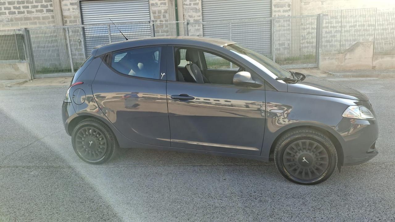 Lancia Ypsilon 1.2 69 CV 5 porte S&S Elefantino