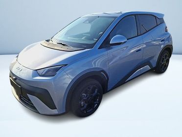 BYD Dolphin Surf Comfort