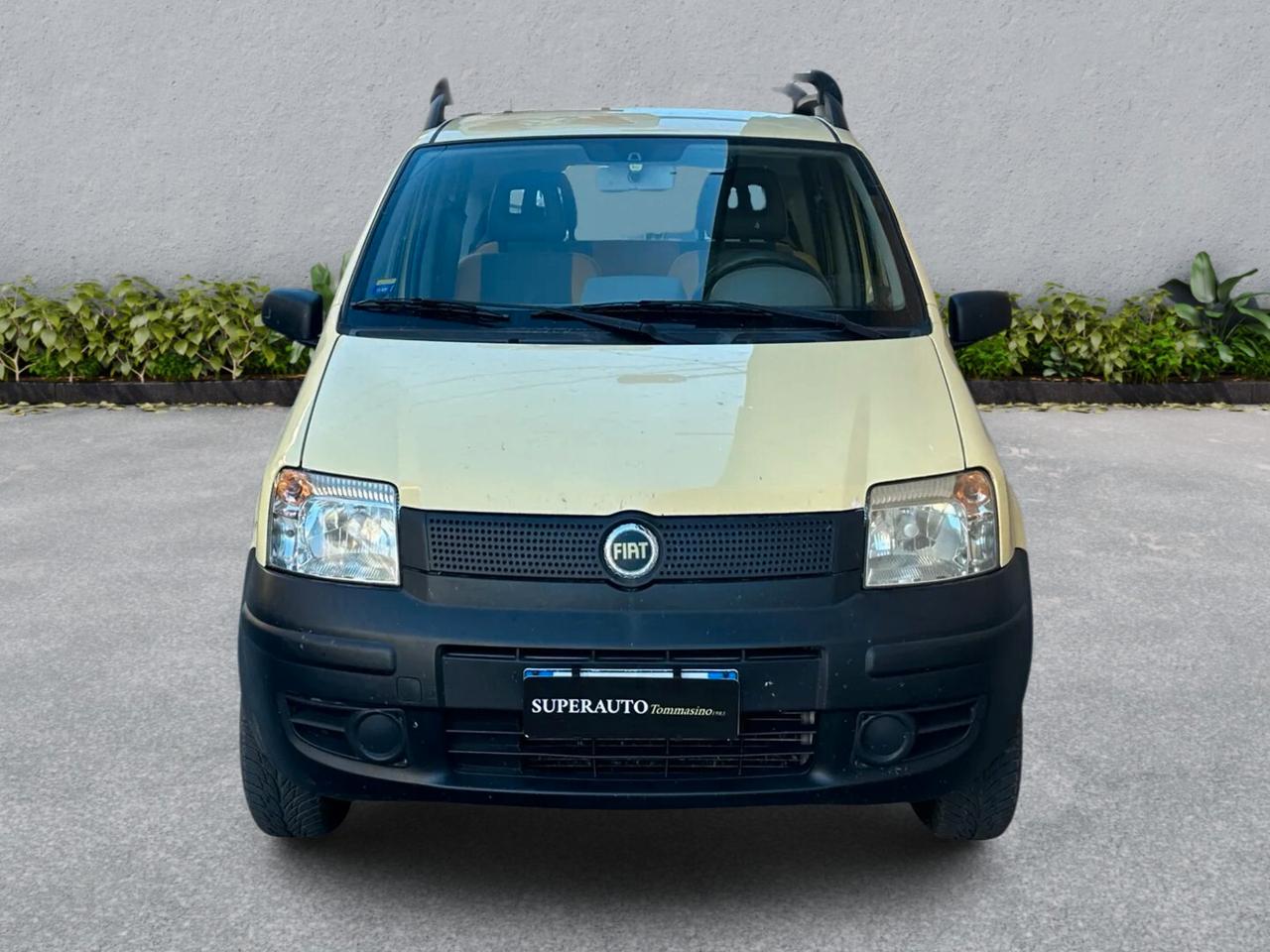 Fiat Panda 1.2 4x4 GPL
