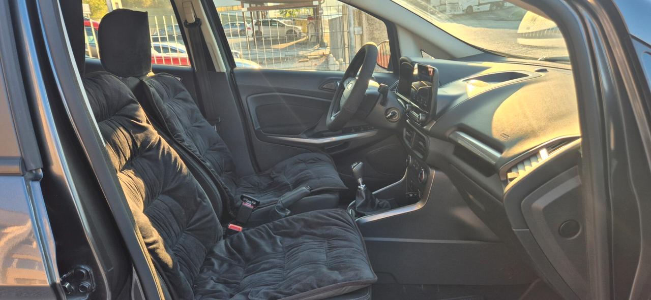 Ford EcoSport 1.0 EcoBoost 100 CV Business