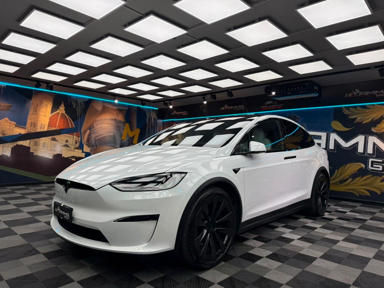 Tesla Model X LONG RANGE (329)