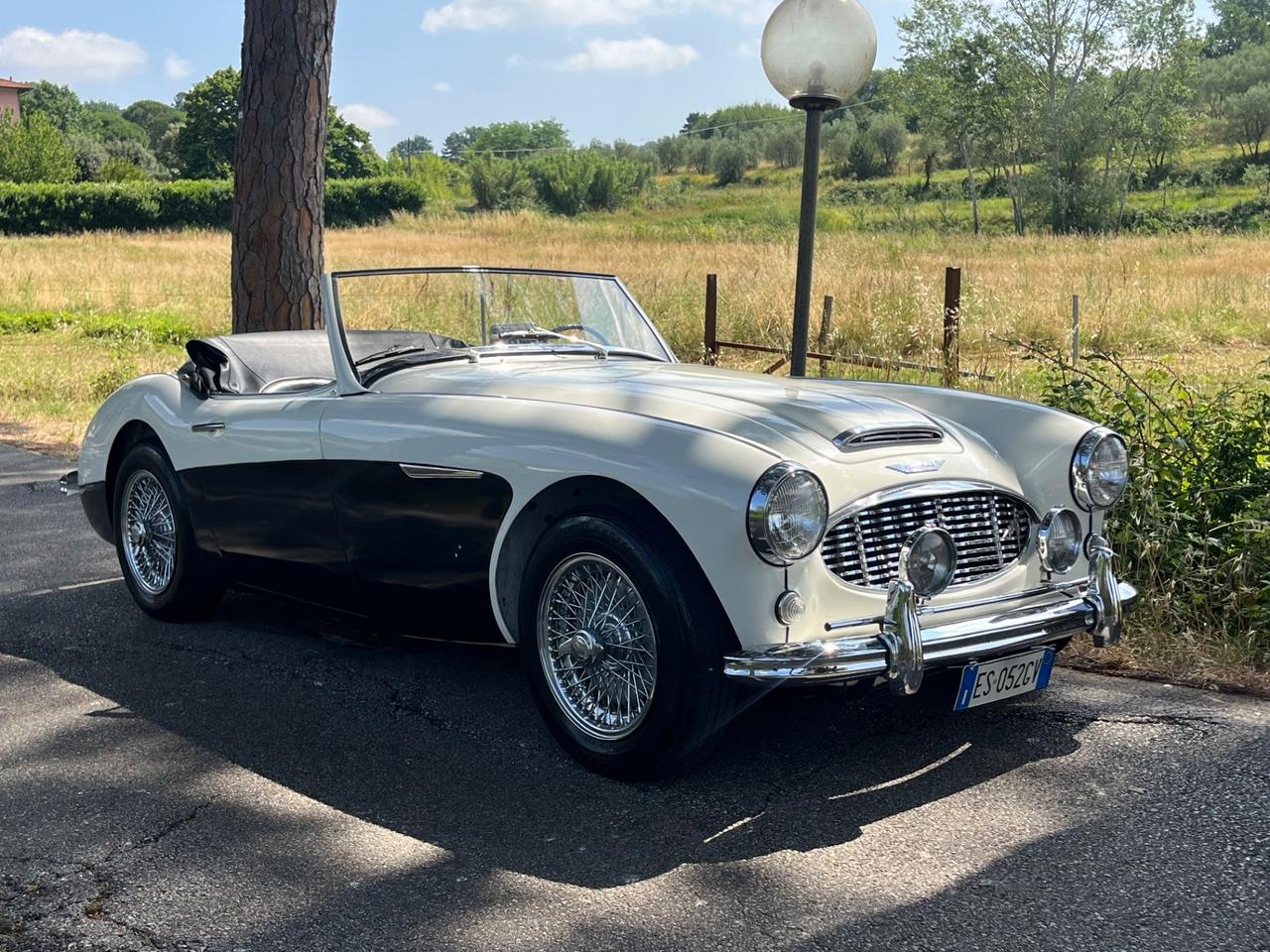 Austin Healey 100/6 BN4 2700 ASI