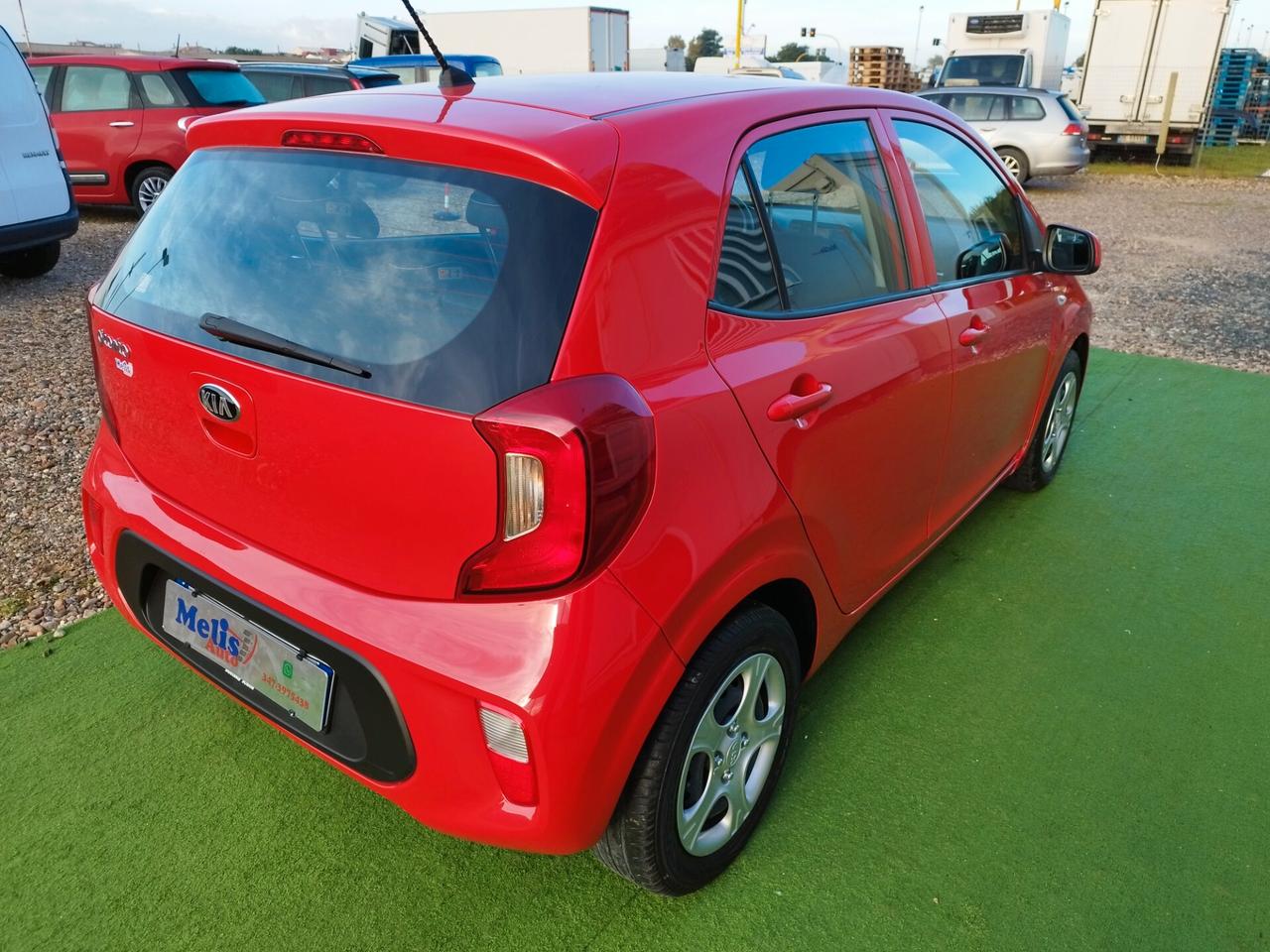 Kia Picanto 1.0 12V 5 porte X Line ok neopatentati