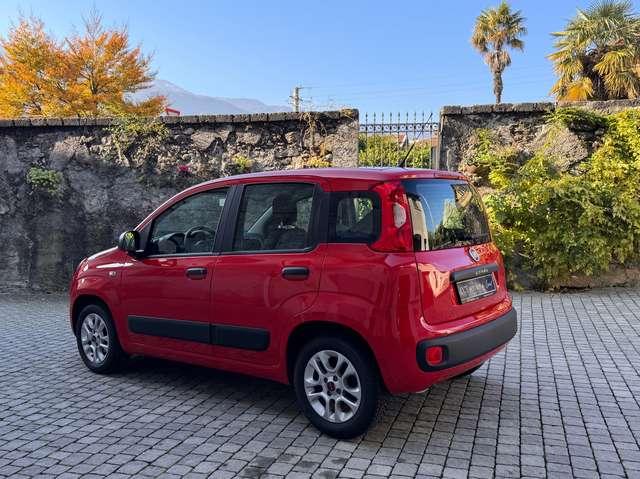 Fiat Panda 1.2 Easy *OK Neopatentati*