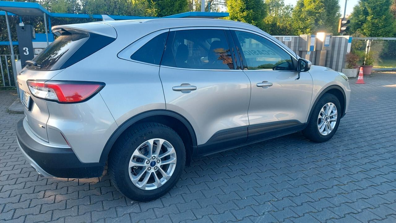 Ford Kuga 2.0 EcoBlue Hybrid 150 CV 2WD Titanium