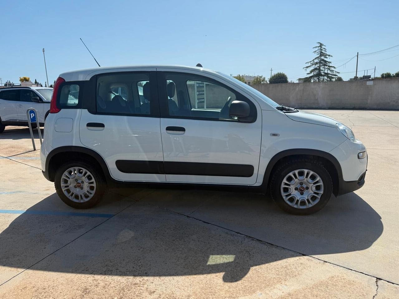 FIAT PANDA 1.0 BENZINA / HYBRID 69 CV