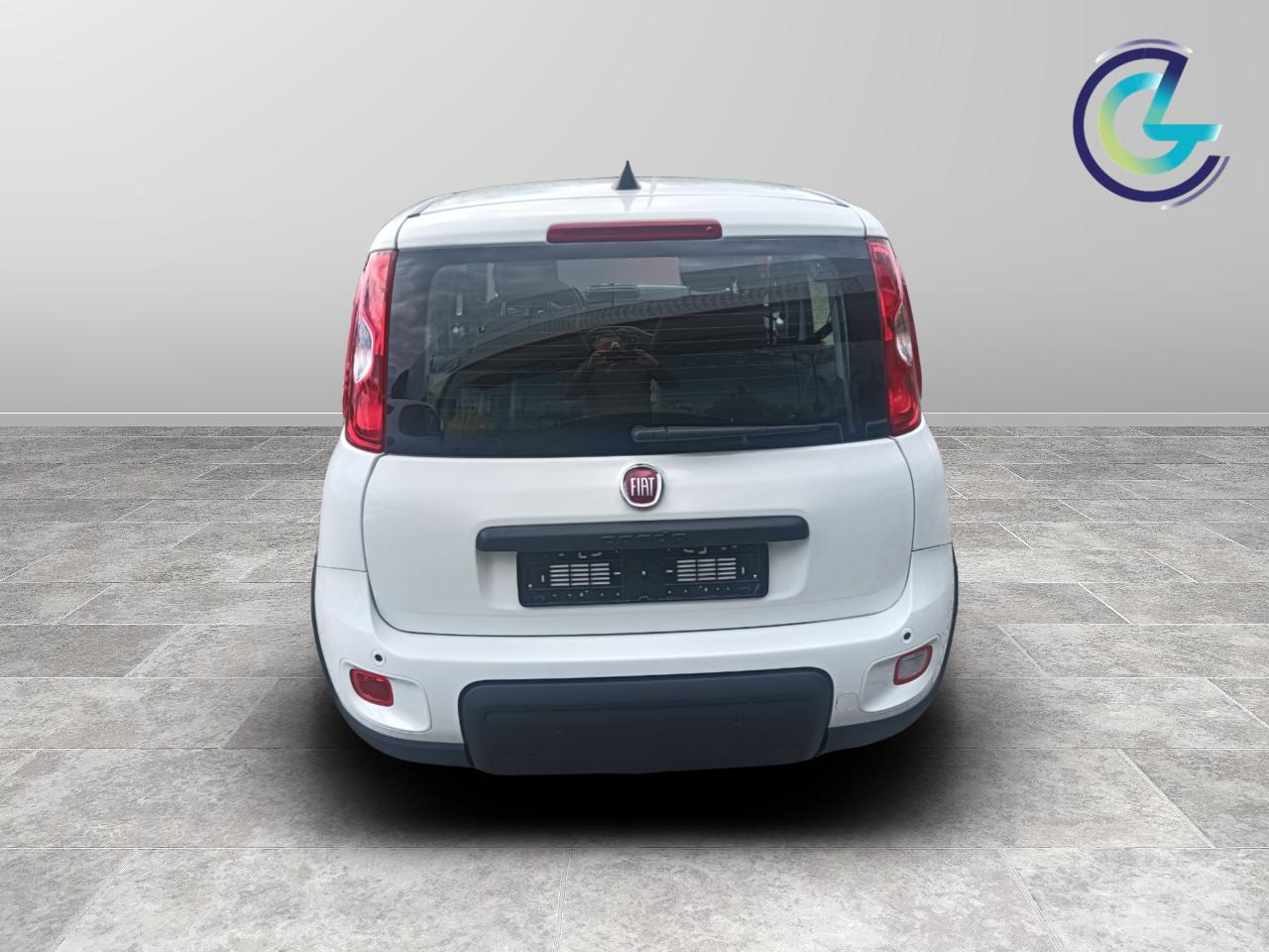 FIAT Panda III 2024 - Panda 1.0 firefly hybrid s&s 70cv