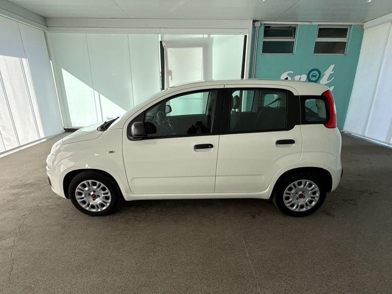 FIAT Panda 1.0 FireFly 70cv S&S Hybrid
