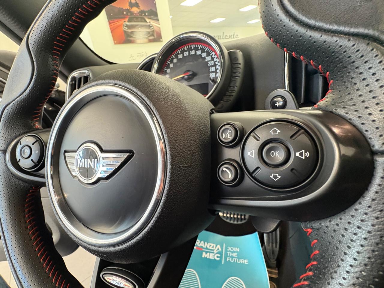 Mini Countryman ALL4 2.0 benzina 231cv 2017 TETTO