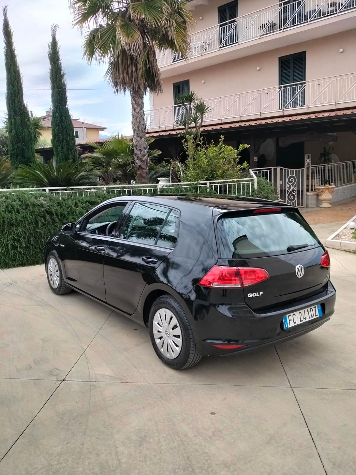 Volkswagen Golf 1.4 TGI 5p. Highline BlueMotion