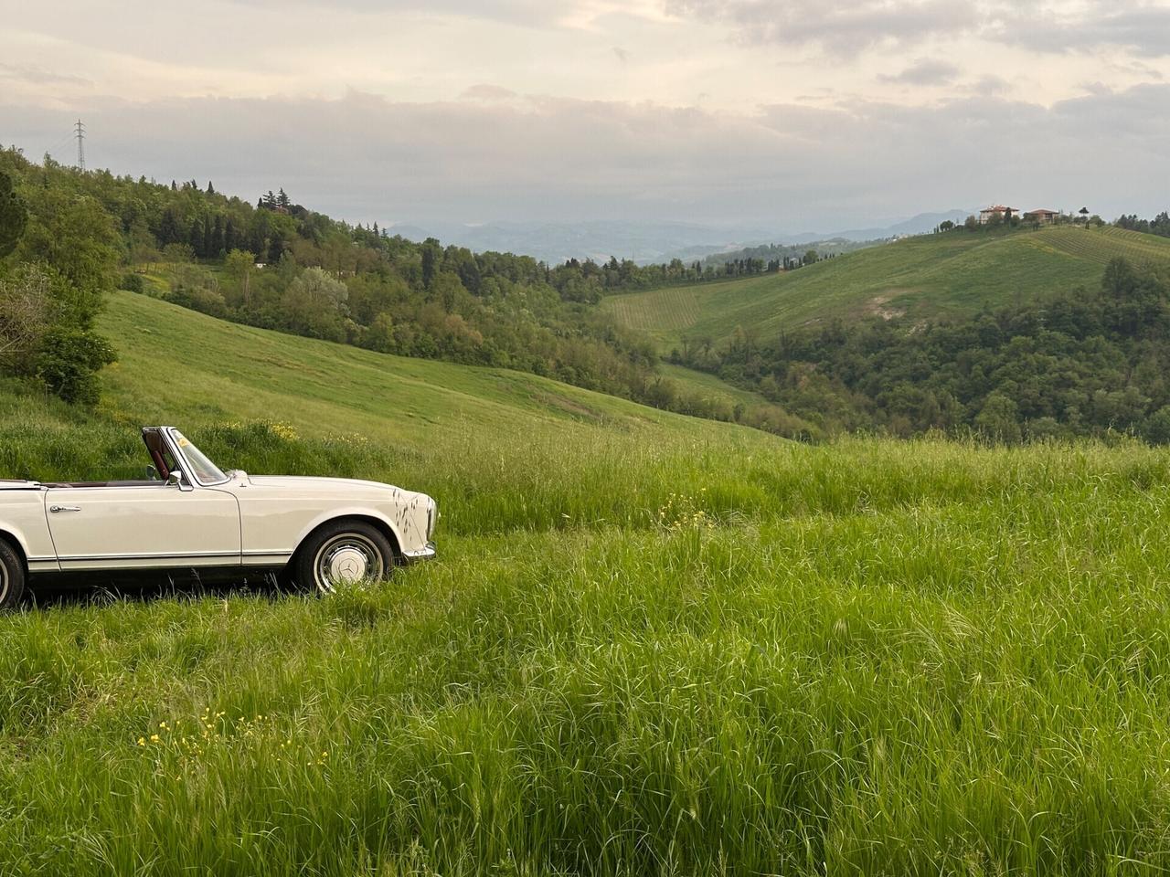 Mercedes-benz SL 230 “Pagoda”