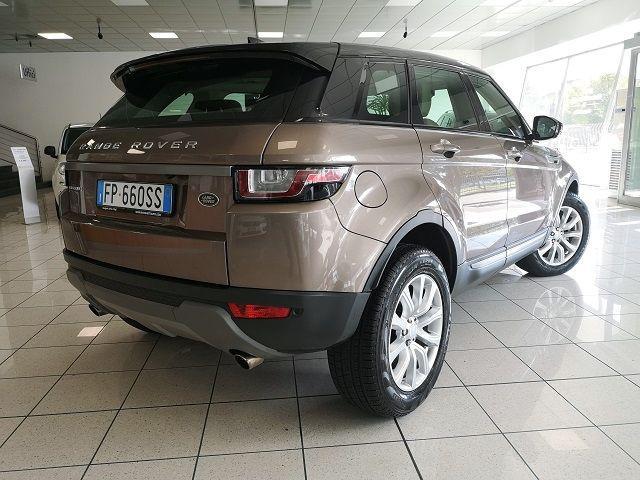 LAND ROVER Range Rover Evoque 2.0 TD4 150 CV 5p. Business Edition SE