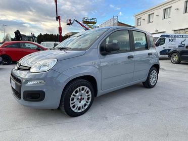 FIAT Panda 1.2 Easy 69cv OK NEOPATENTATO