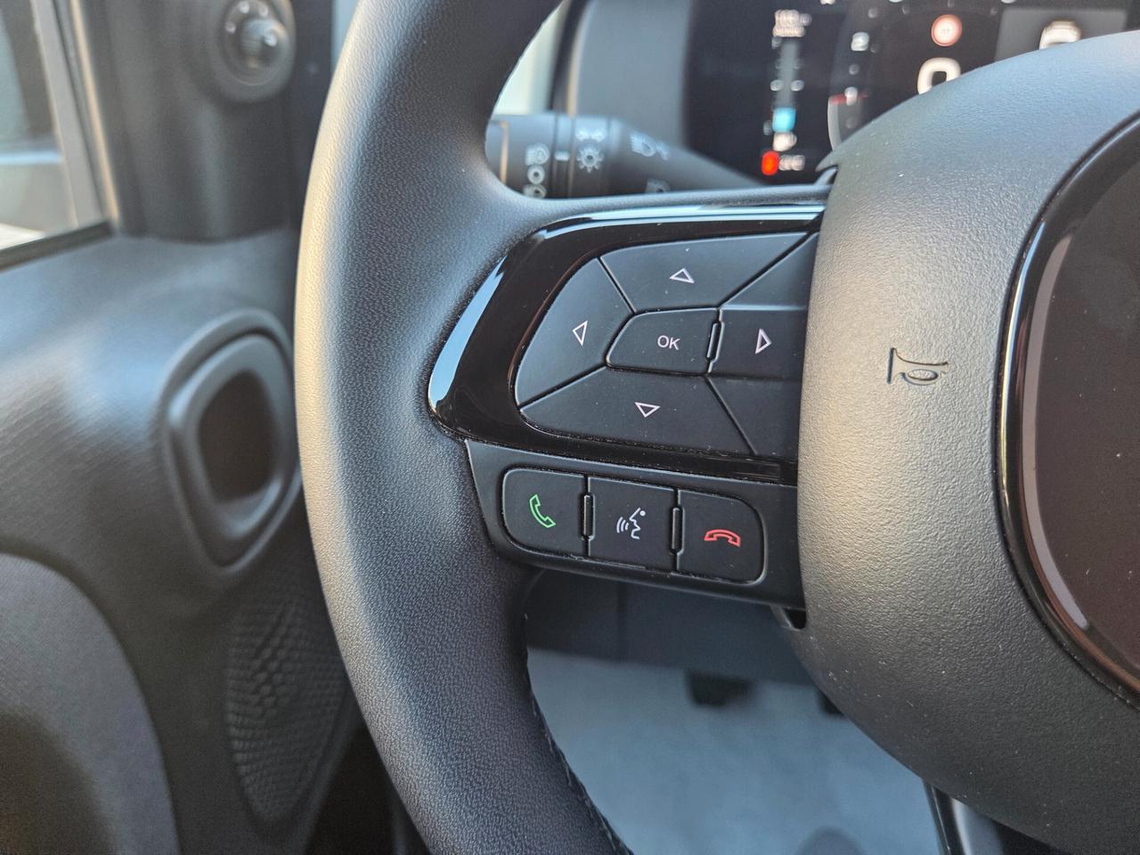 Fiat Panda Cross "PANDINA" 1.0 Hybrid