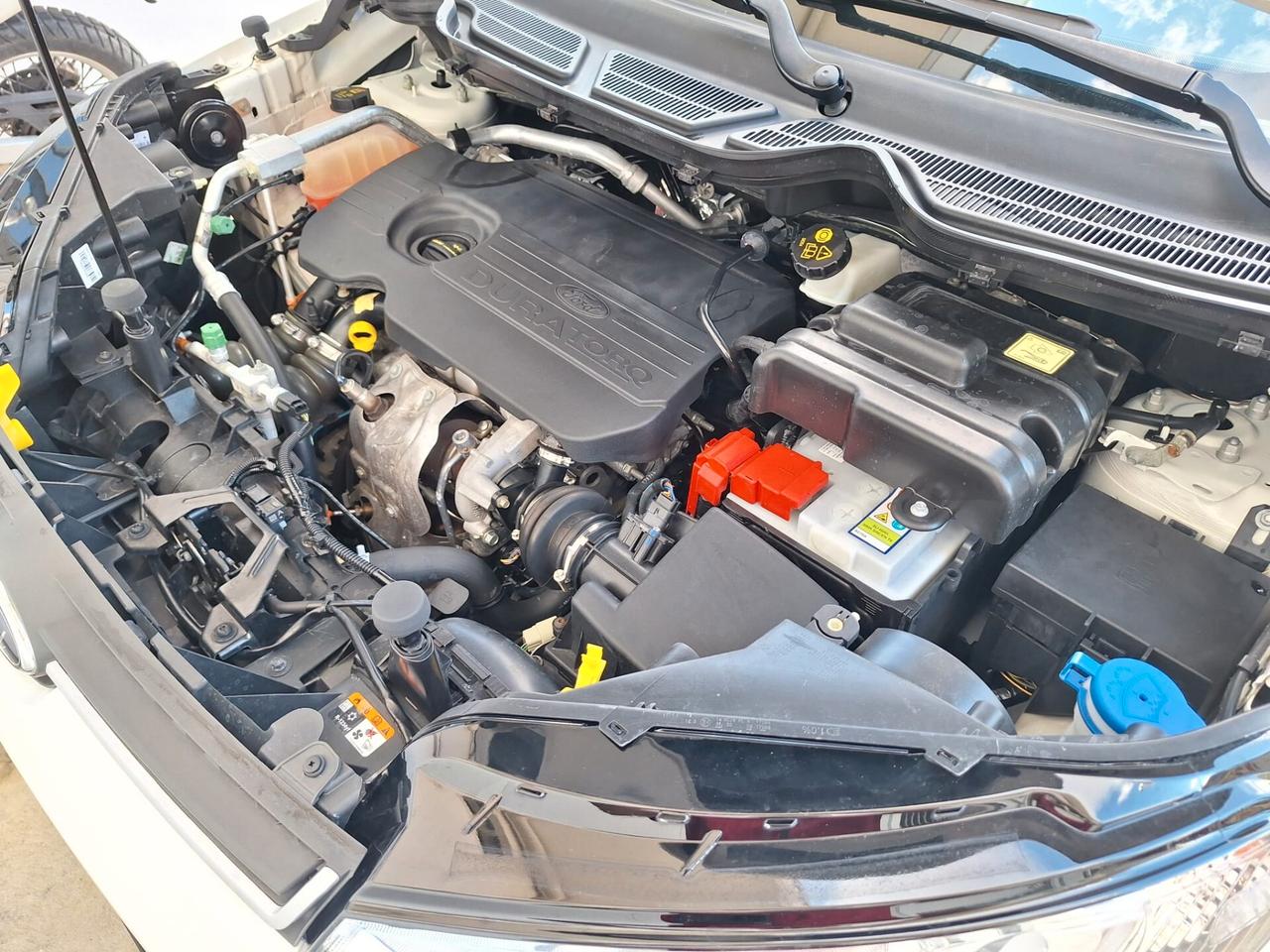 Ford EcoSport 1.5 TDCi 95 CV Business