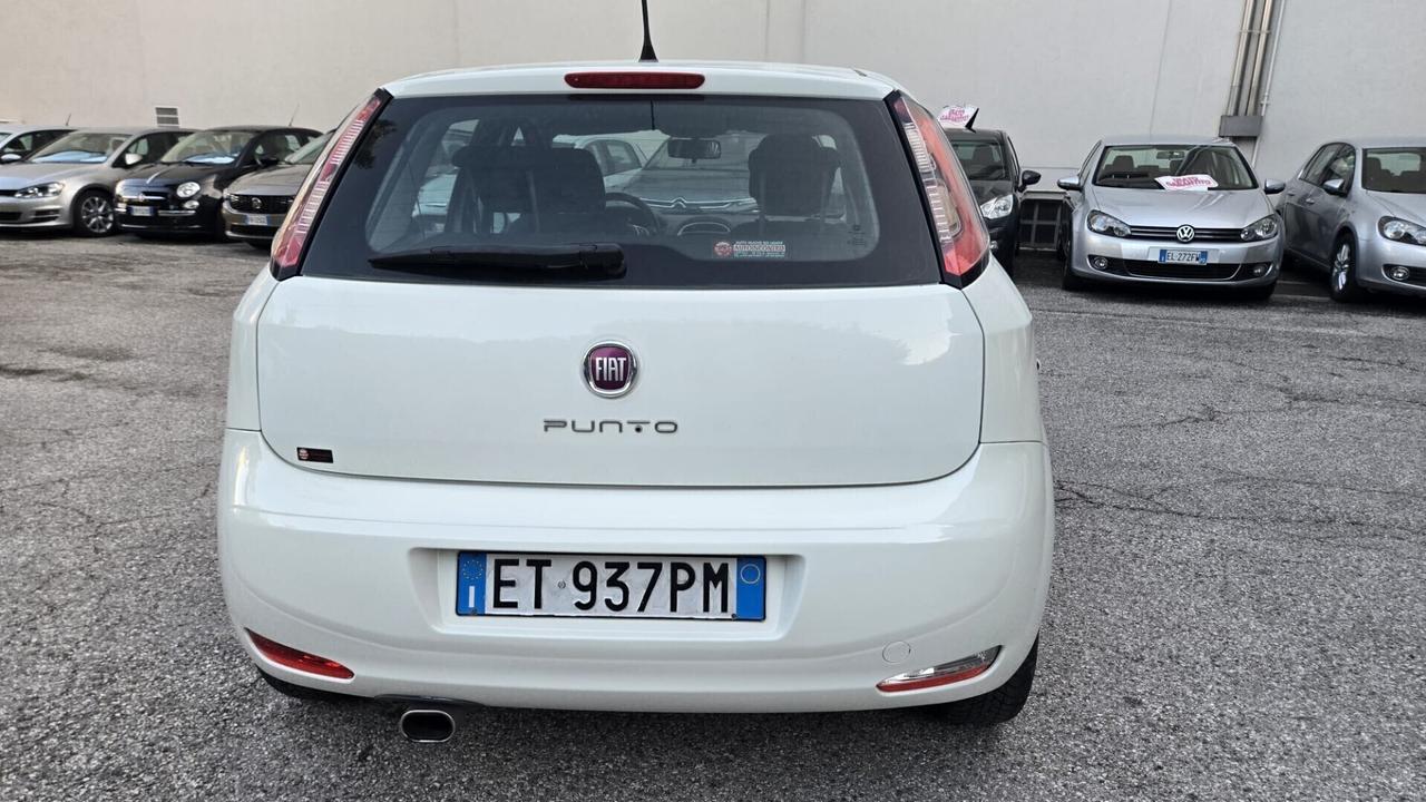Fiat Punto 1.2 8V 5 porte Street Ok Neopatentati