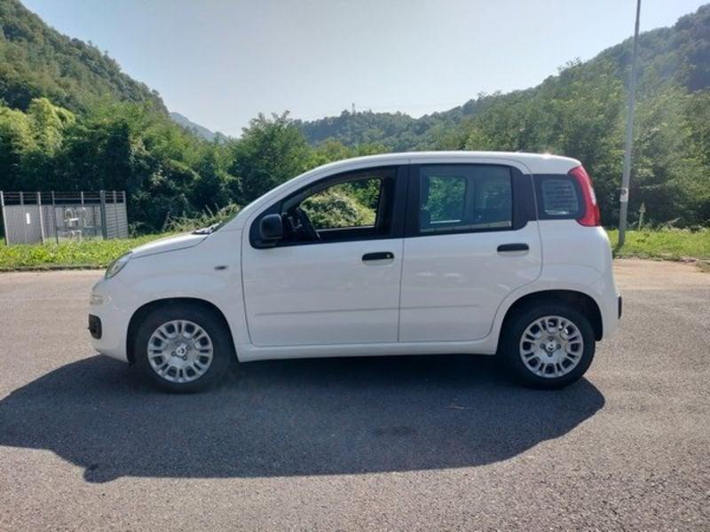FIAT Pandina 1.0 FireFly 65cv S&S Hybrid Icon con comandi al volante!!