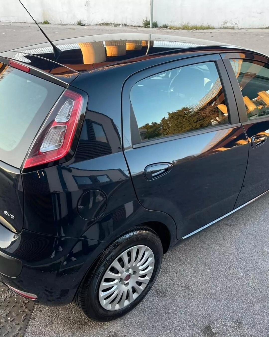 Fiat Punto Evo Punto Evo 1.2 5 porte Fun