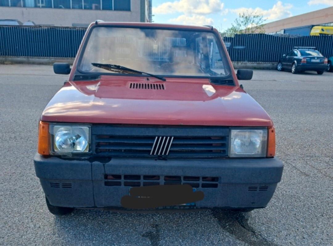 Fiat Panda 1100 i.e. cat Young