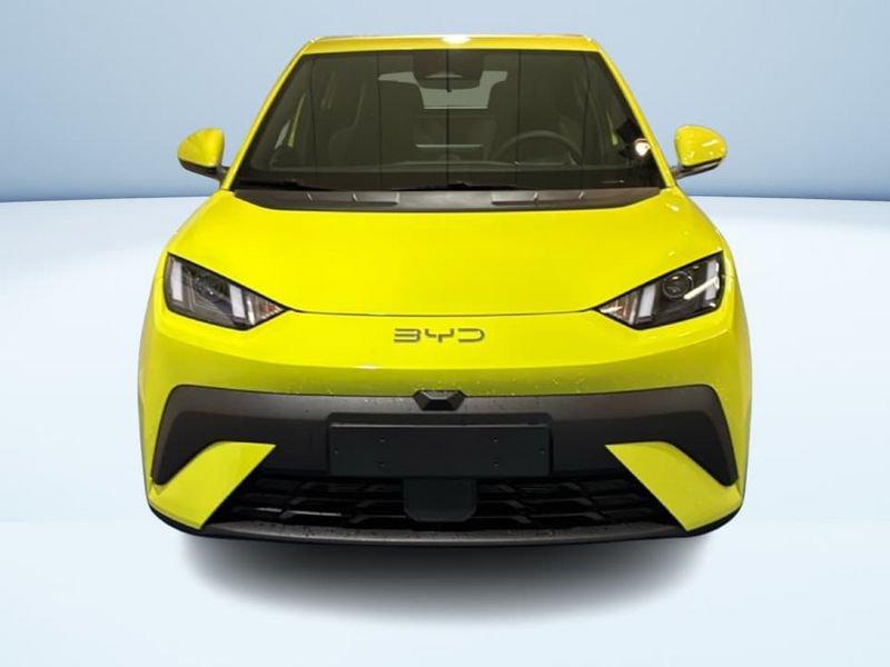 BYD Dolphin Surf Active