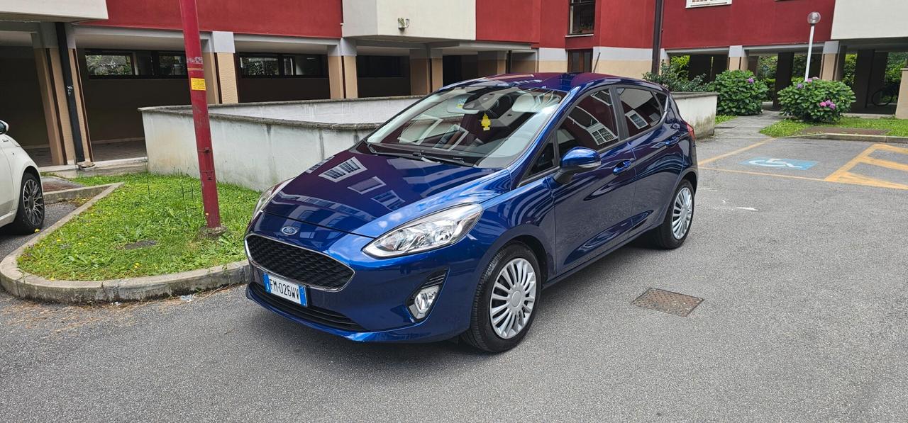 Ford Fiesta Plus 83cv 1.5 tdci 5porte