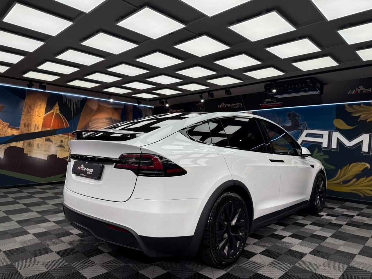Tesla Model X Dual Motor AWD (803)