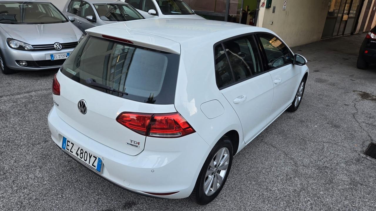 Volkswagen Golf Business 1.6 BlueTDI 110 CV 5p. Highline