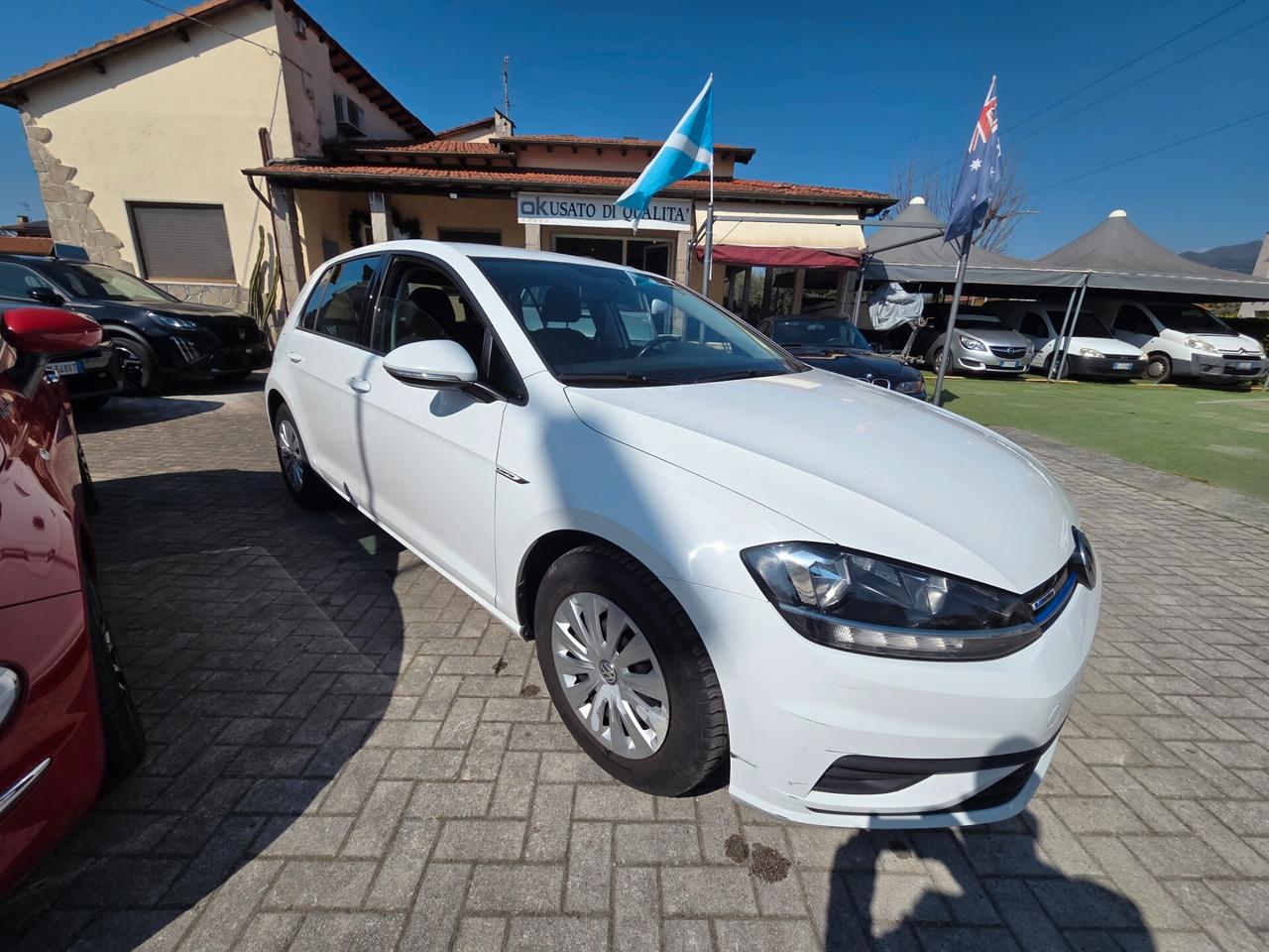 Volkswagen Golf 1.4 TGI 5p. Executive BlueMotion
