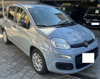 Fiat Panda 1.2 Benzina Connected by Wind - Anche Per Neopatentati - 2019
