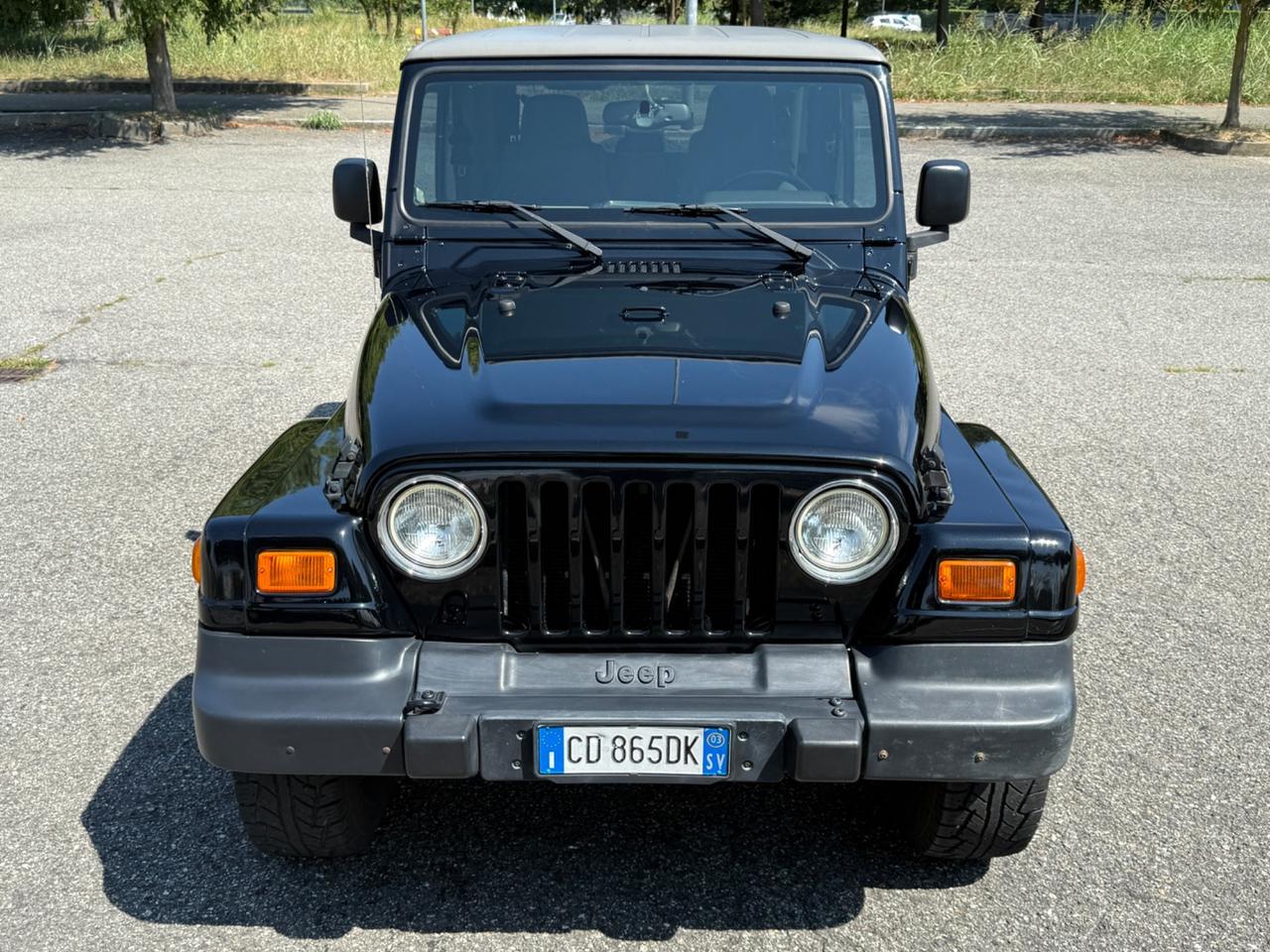 Jeep Wrangler 4.0 Sahara “Gan. Traino” 2003