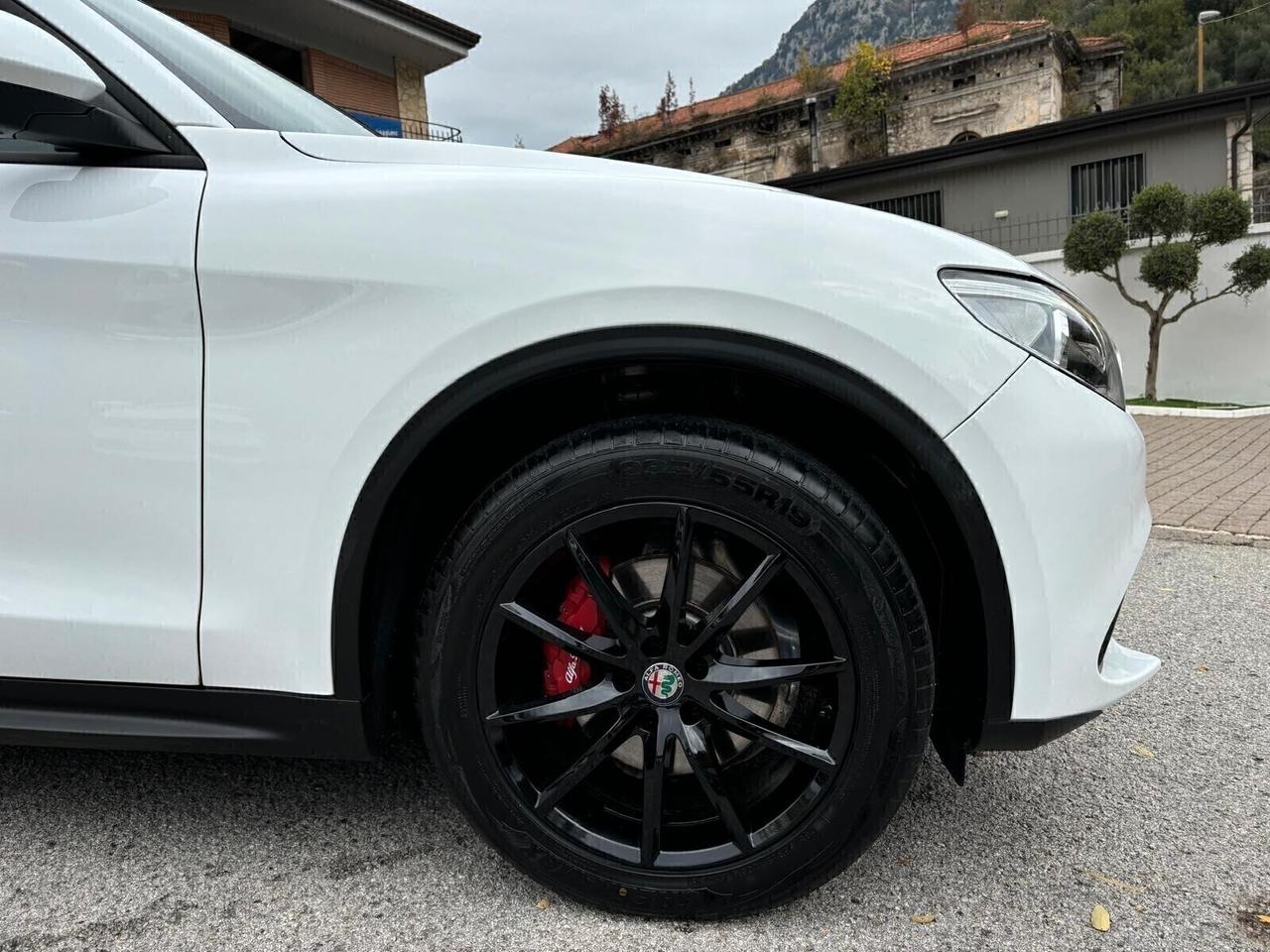 Alfa Romeo Stelvio 2.2 180 CV AT8 Q4 Executive FULL CARBON