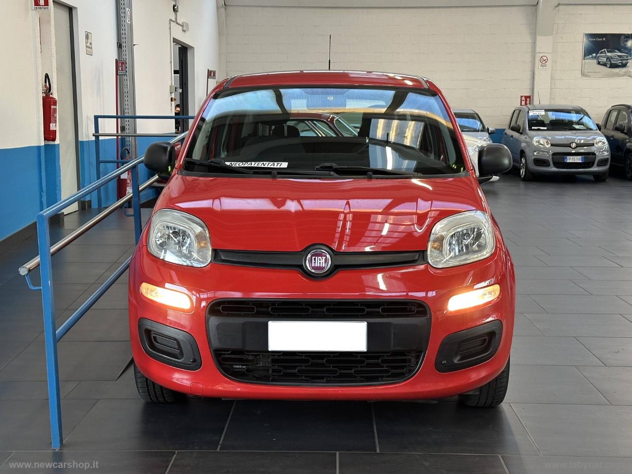 FIAT Panda 1.2 Easy 69CV OK PER NEOPATENTATI