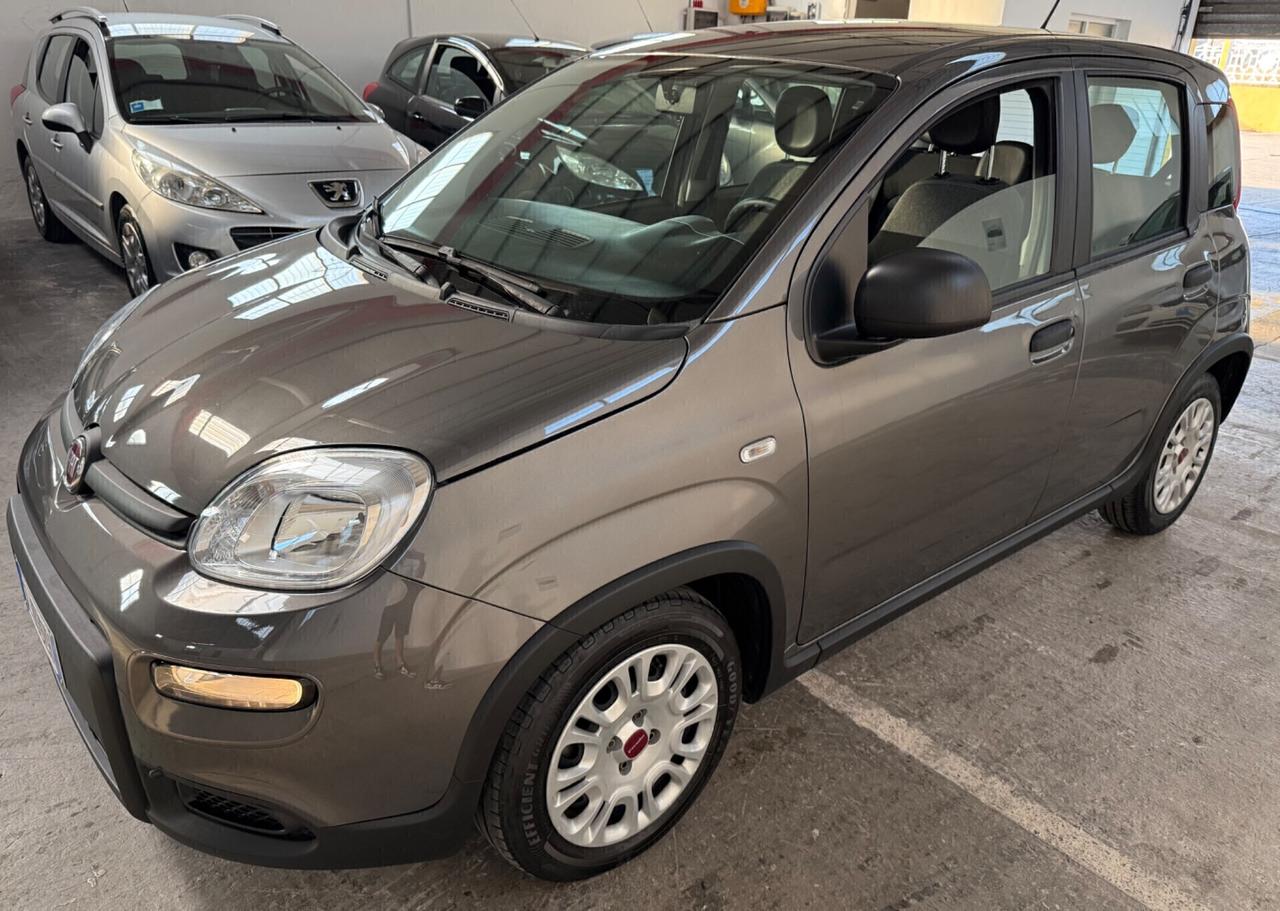 Fiat Panda 1.0 FireFly S&S Hybrid - 2022