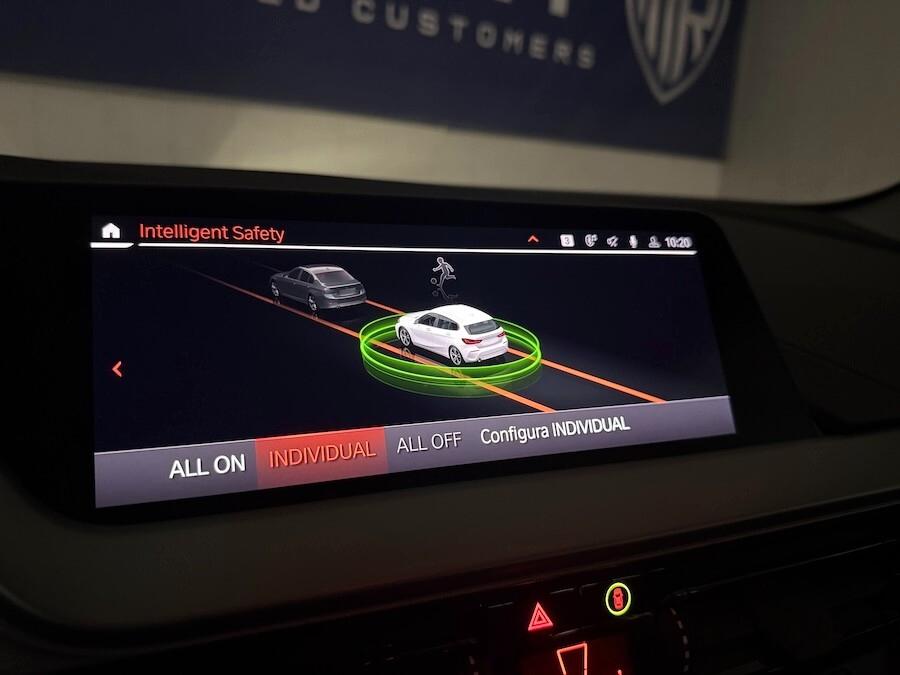 Bmw 116d Business Advantage Automatica