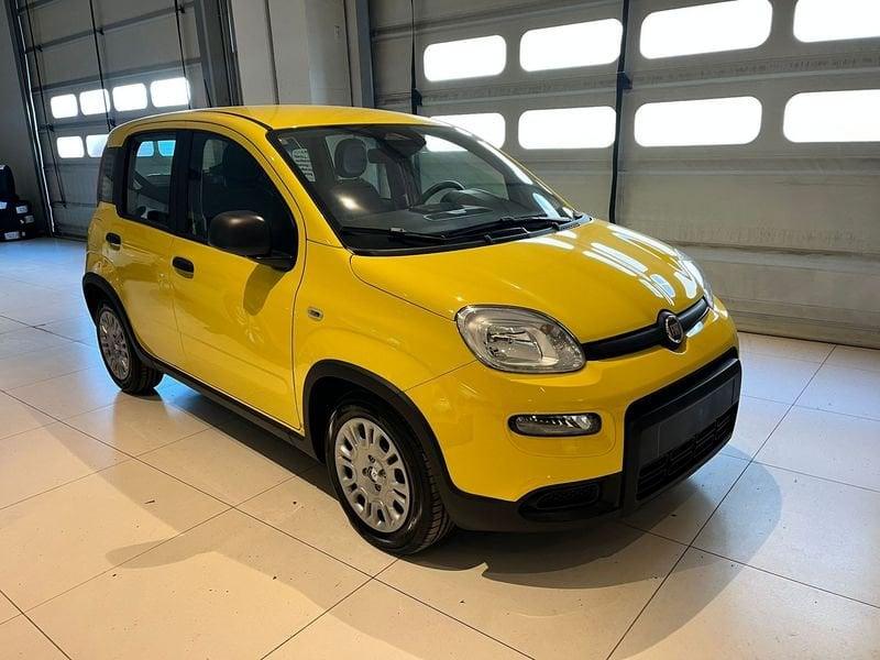 FIAT Panda 1.0 FireFly S&S Hybrid Pandina