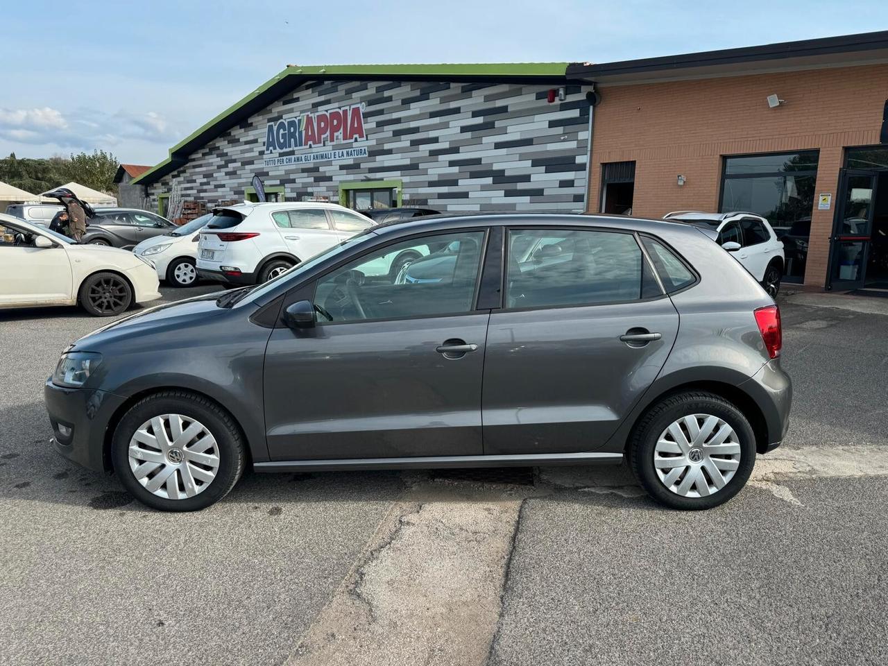 Volkswagen Polo 1.6 TDI 90CV 5P COMFORTLINE 2010