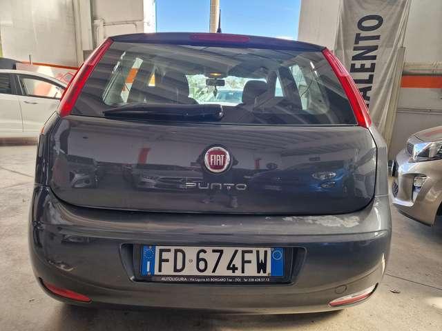Fiat Punto Punto 5p 1.2 Young