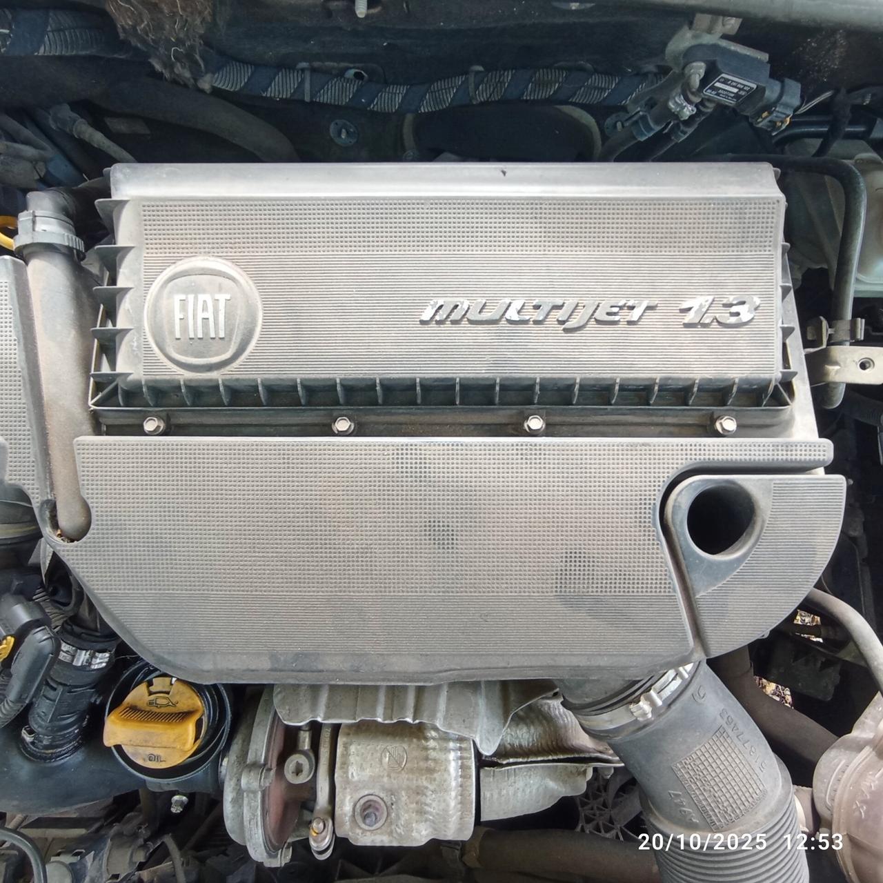 Fiat Punto Evo 1.3 Mjt 75 CV DPF 5 porte S&S Active