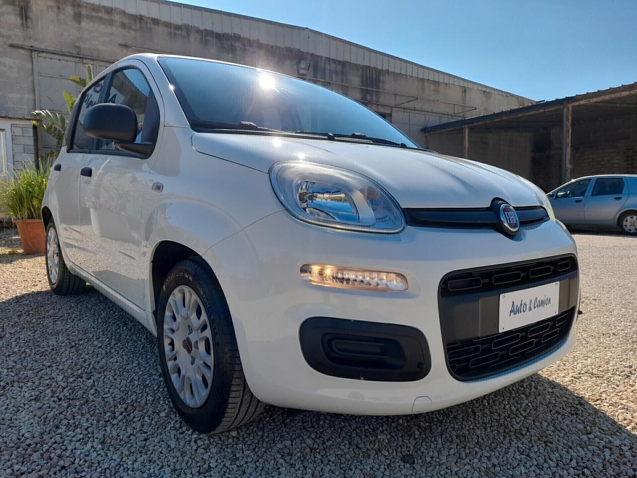Fiat Panda 1.0FIREFLY S&S ANNO 2021 BENZINA