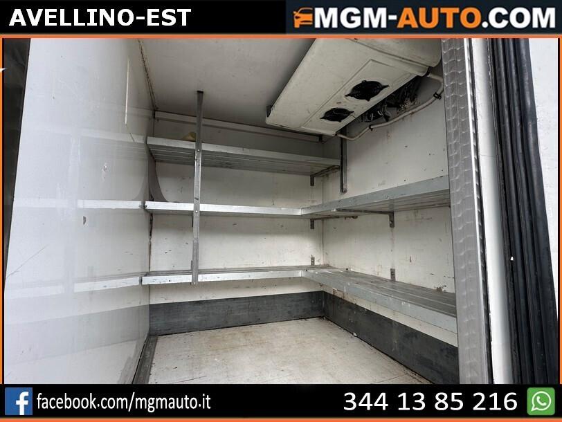 IVECO DAILY 35C14 - CELLA FRIGO