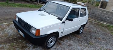 Fiat Panda 1100 i.e. cat Young