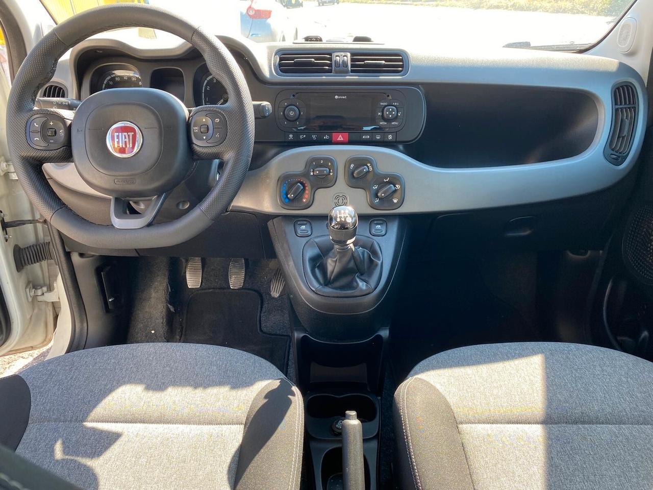 Fiat Panda 1.2 Benzina Lounge