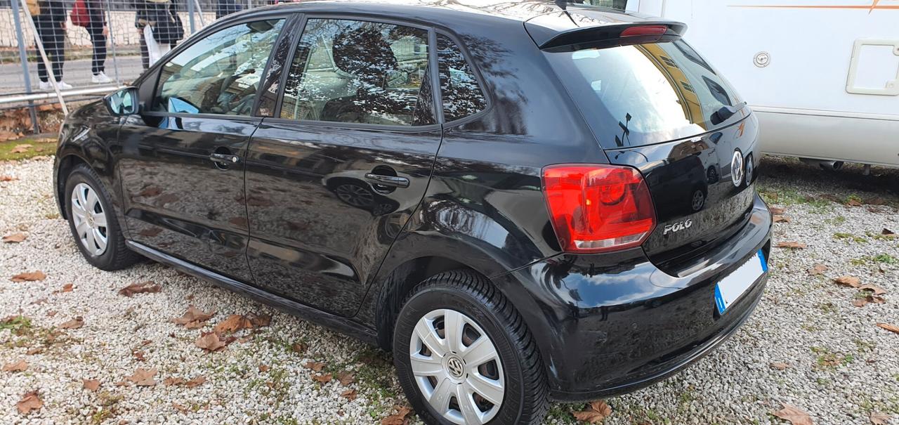 Volkswagen Polo 1.2 5 porte Trendline